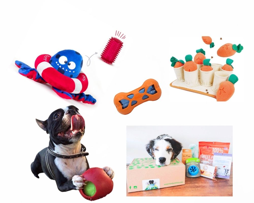 unique toys for dogs