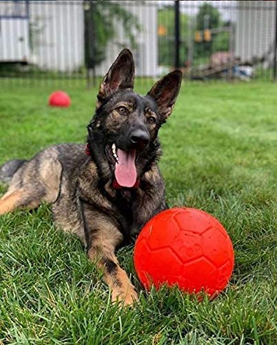 Jolly Pets Soccer Ball