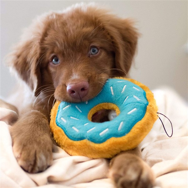 Plush Donut squeaky puppy toy