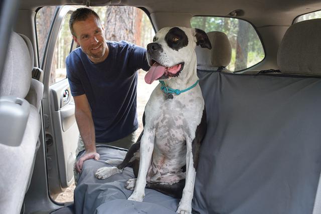 Ruffwear dirtbag dog car seat cover gift for dog lovers second view