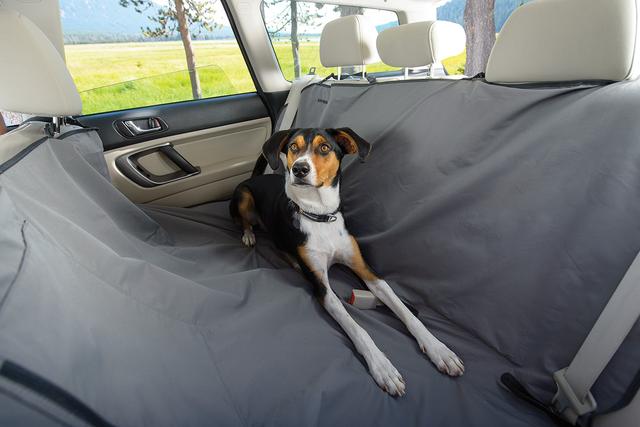 Ruffwear dirtbag dog car seat cover gift for dog lovers