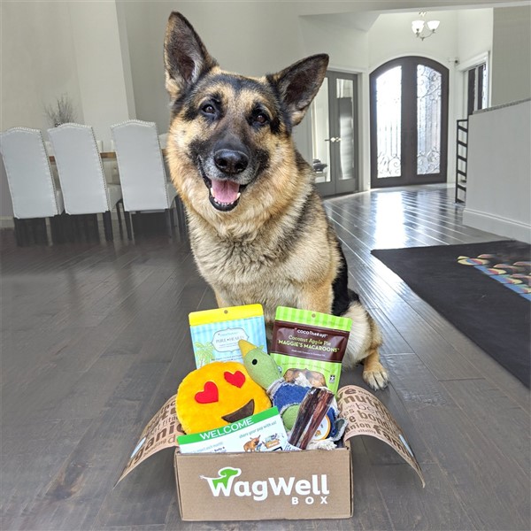 Wagwell box best dog toys and a german shepherd