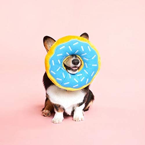 plush donut squeaky jumbo size gift for dog with corgi