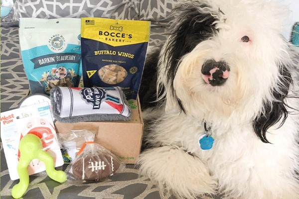 pure earth pets box gifts for dogs