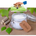 xylitol & dogs