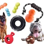 Indestructible Dog Toys