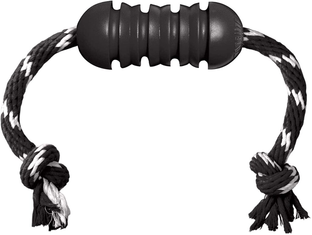 Kong Extreme Dental Indestructible dog toy