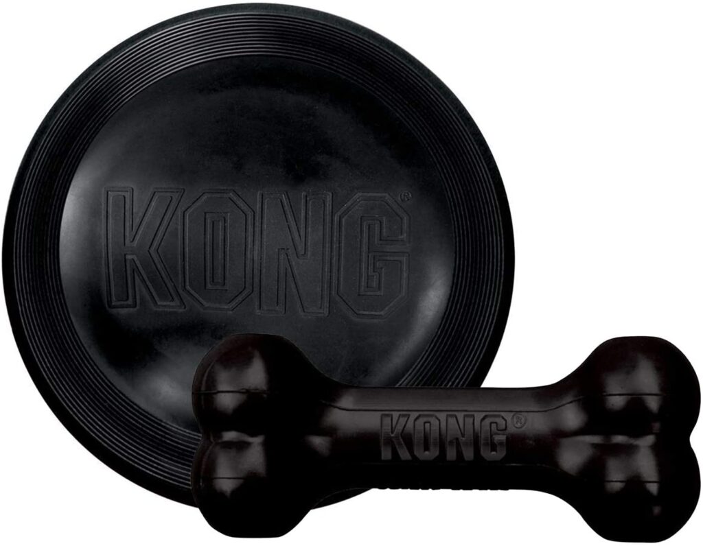 Kong Extreme Flyer and goodie bone Indestructible dog toys