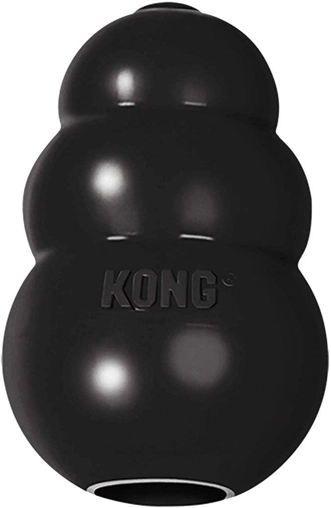 Standard Kong Extreme Indestructible dog toy