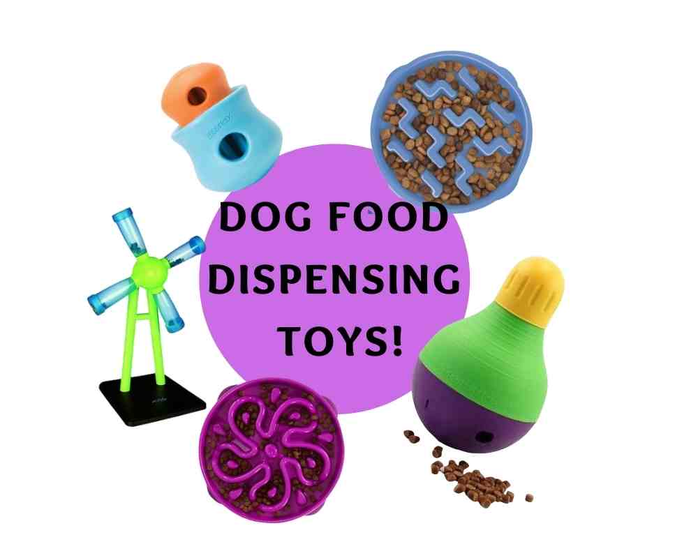 food dispensing toys for dogs featured image