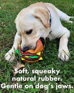 dog chewing his favorite toy, a squeaky cheeseburger dog toy