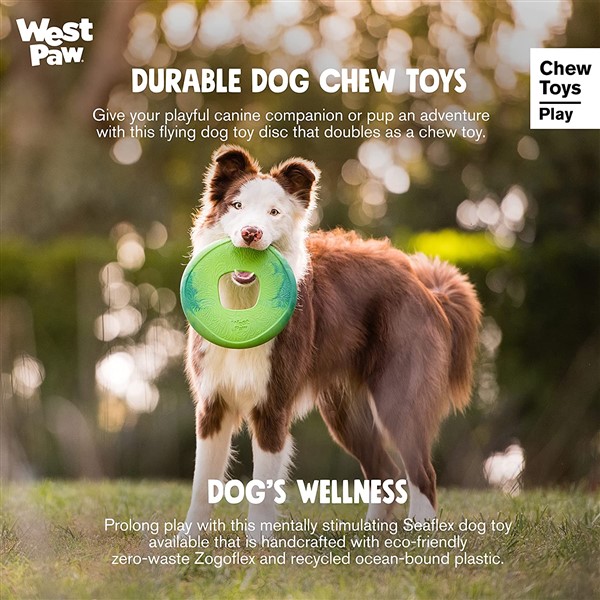 dog using west paw recycled plastic dog frisbee