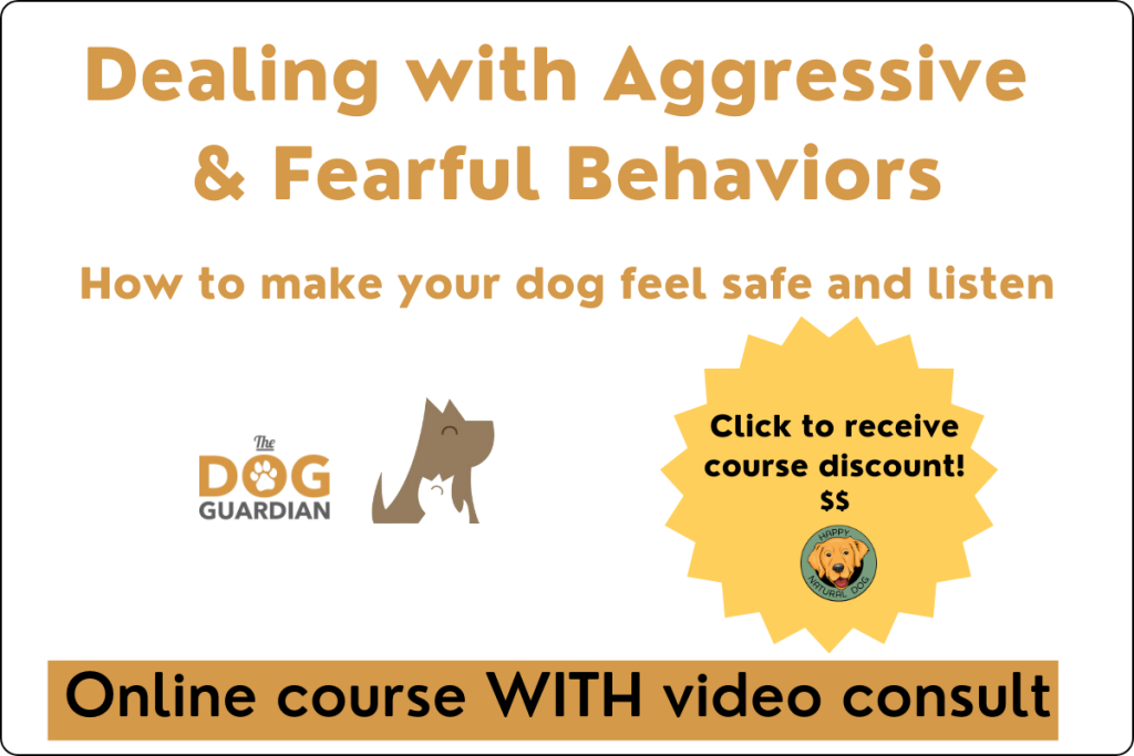 Link to Nigel Reed's reactive dog training course with video consult