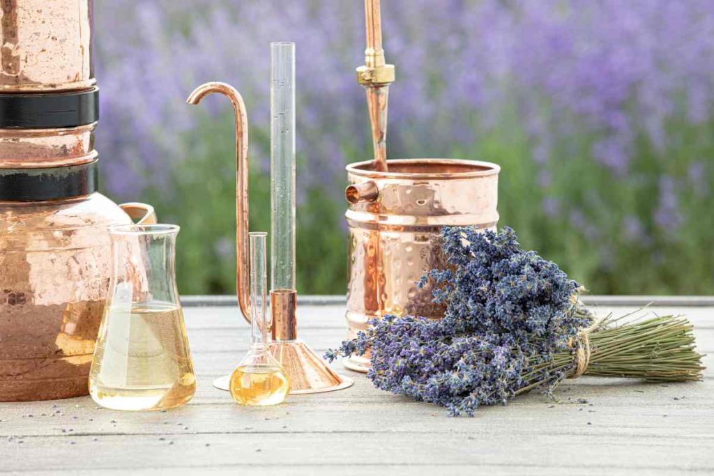 a copper diffuser with a bundle of lavender next to it and a lavender field in the background to illustrate how essential oils for dogs are made and can be used safely for dogs