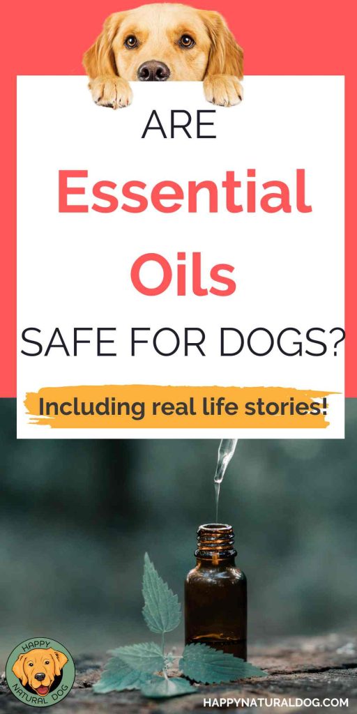 Pin saying are essential oils safe for dogs with a dog on the top and a bottle of essential oil on the bottom