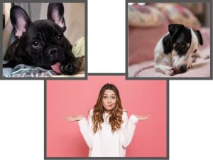 23 Effective Home Remedies For Dogs Licking Their Paws