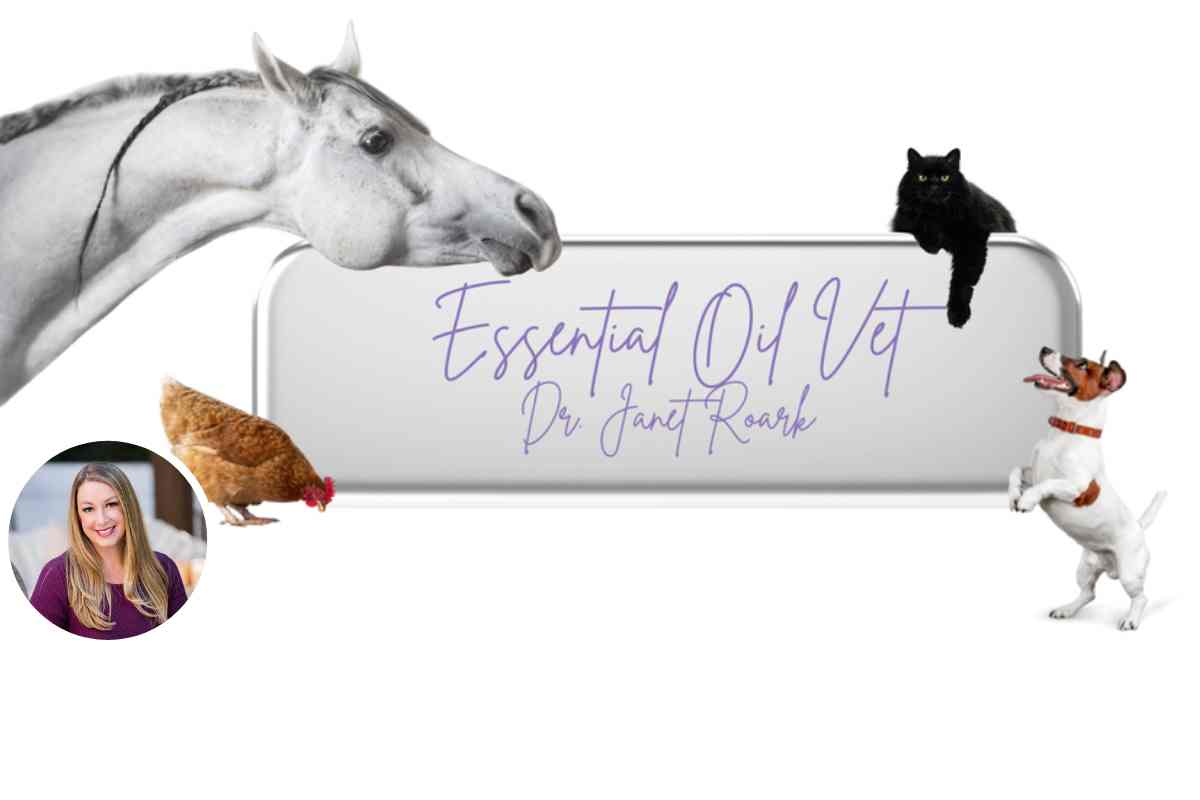 A sign that says The Essential Oil Vet Dr. Janet Roark with many animals around it needing essential oils for dogs. Dr. Roark can tell you are essential oils safe for dogs and which ones are.