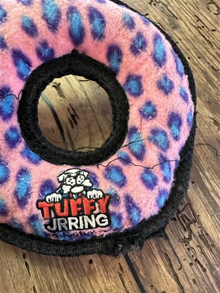Tuffy Jr. Ring from the mental stimulation dog toy subscription box