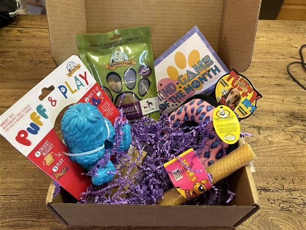 An open Mind Game of the Month dog toy subscription box