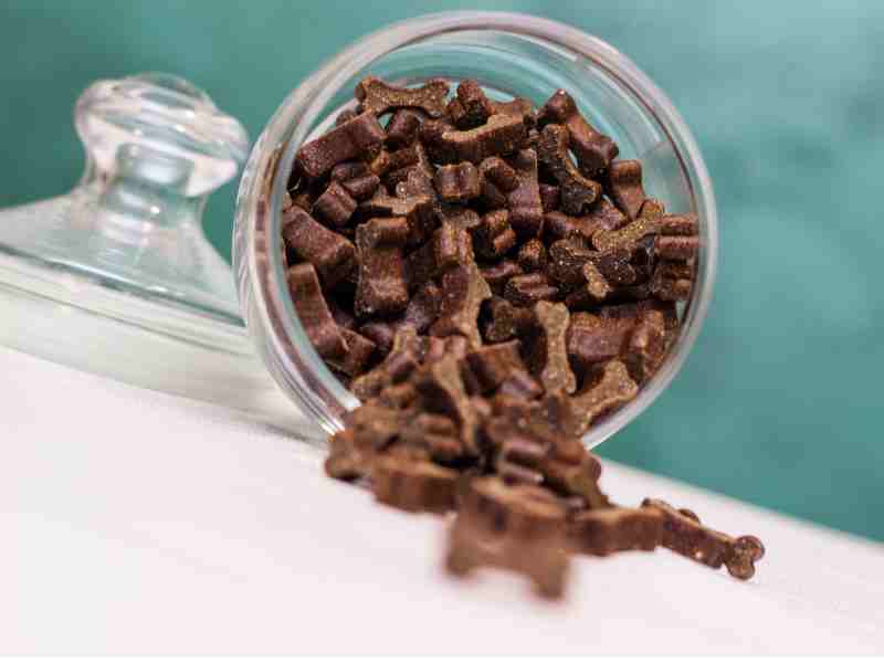 a jar of natural dog treats tipped on its side with dark brown soft dog treats that are shaped like a bone spilling out