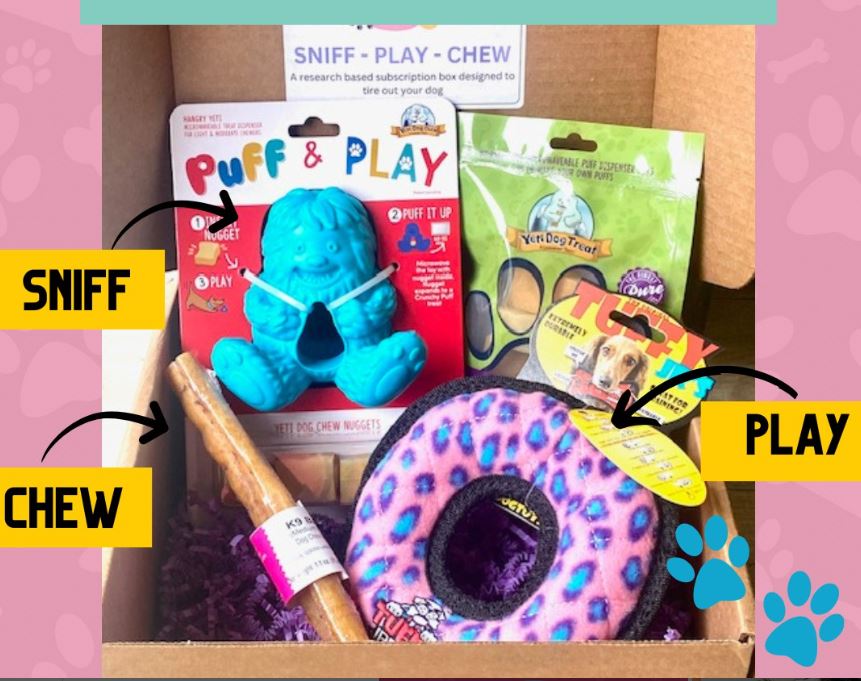 February Mind game of the month mental stimulation dog toy subscription box filled with toys and chews
