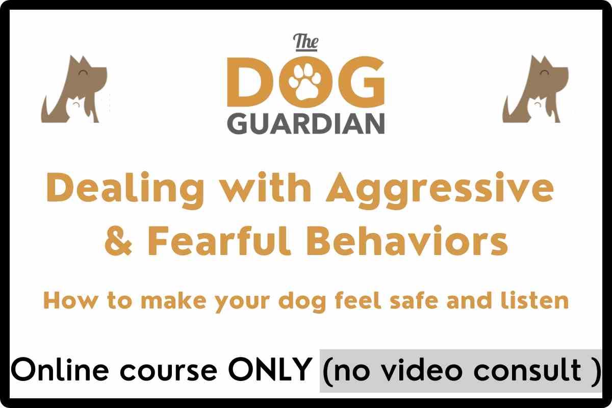 square box with words to click on to sign up for Nigel Reed's (aka the Dog Guardian) Dealing with aggressive and fearful behaviors course, no video consult (course only)