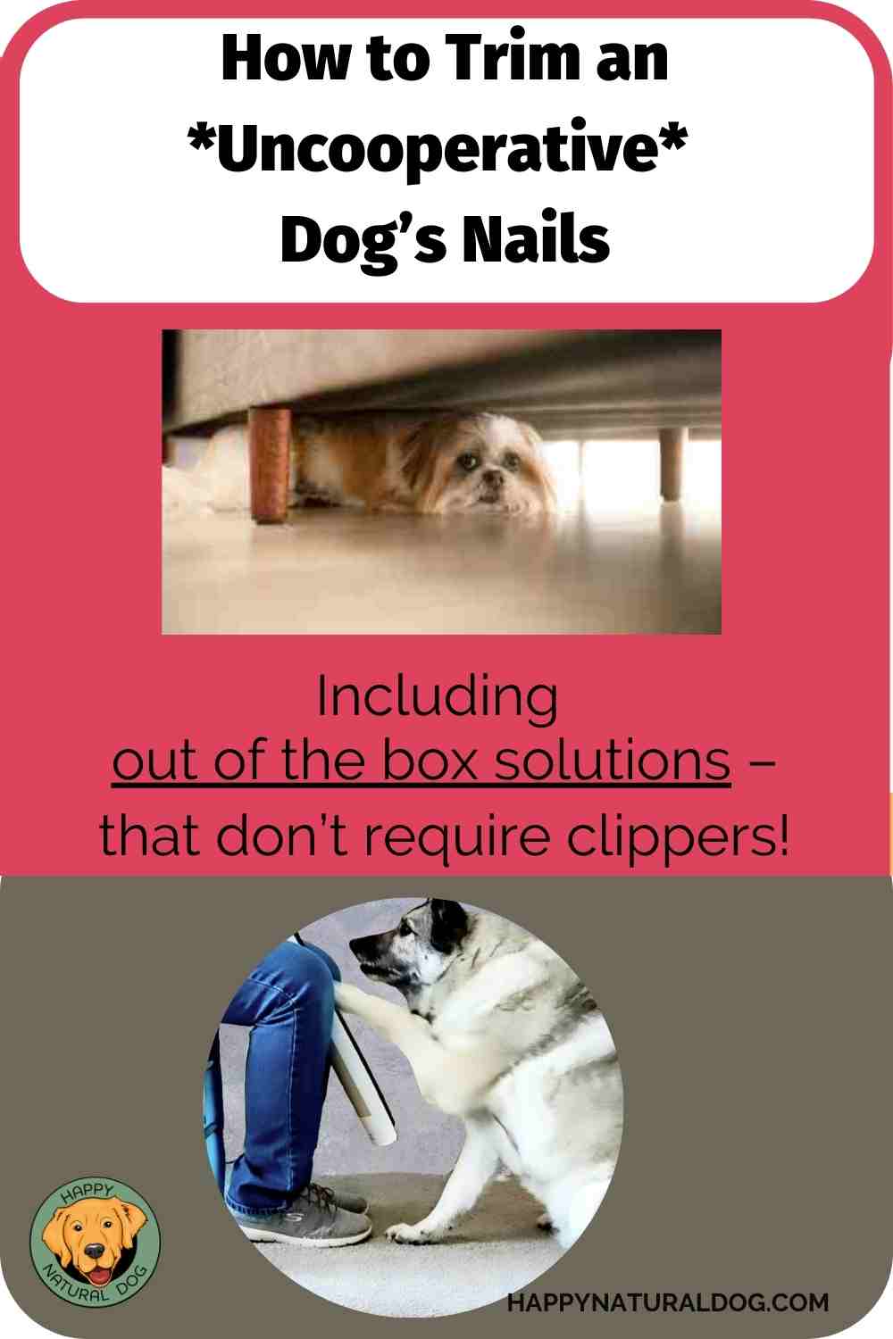 How To Cut An Uncooperative Dog’s Nails